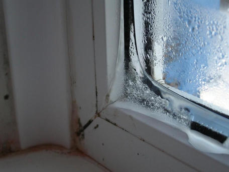 Последствия конденсата на окнах